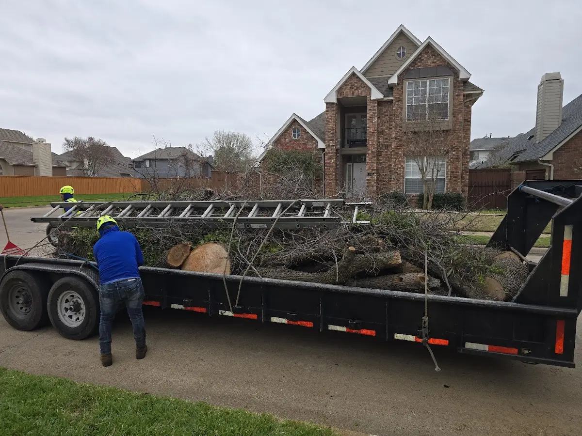 Expert Tree Fertilization with proper safety equipment in Fort Worth